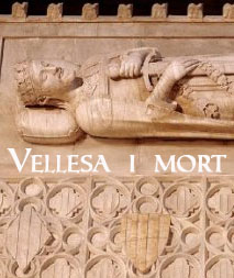 vellesa